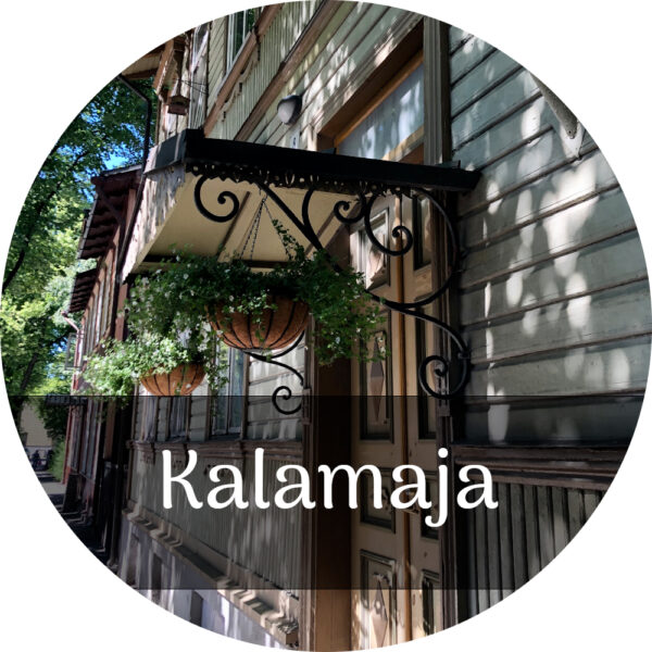 Private Walking tour in Kalamaja