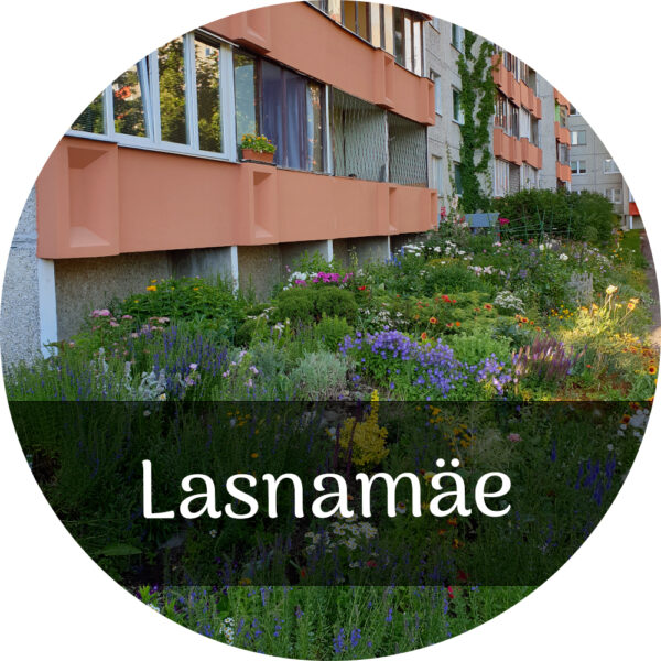 Cycling Tour of Lasnamäe