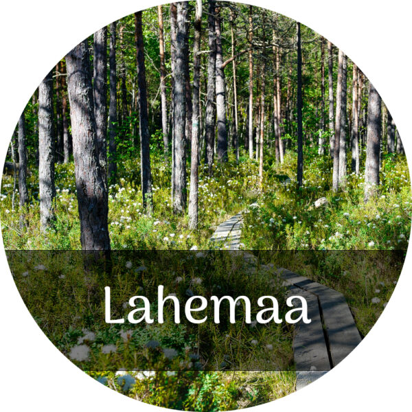 Lahemaa Cycling Adventure